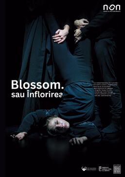 Blossom. sau Înflorirea | Non Centru Performing Arts Centre  